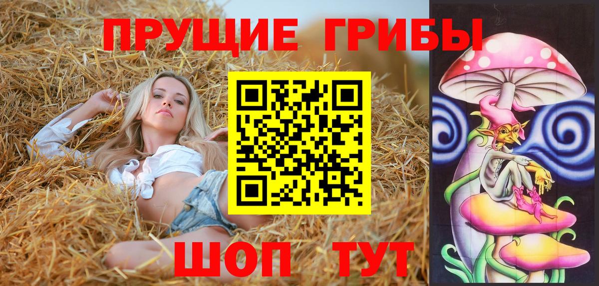 Псилоцибиновые грибы прущие грибы  Вход с VPN  Галлюциногенные грибы мухоморы  Королёв 